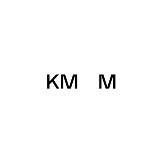 Logo du musée de la ville de Kaunas